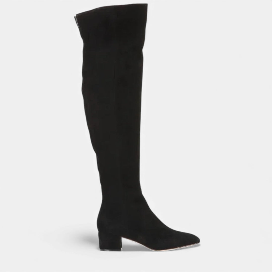 Women's Over-the-Knee Suede Block Heel Boots