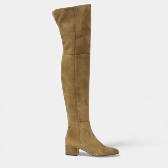 Women's Over-the-Knee Suede Block Heel Boots