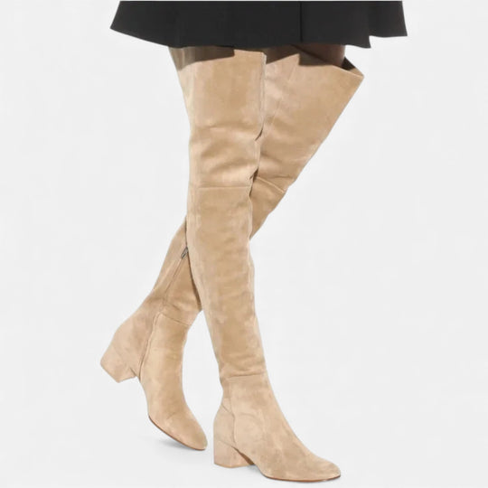 Women's Over-the-Knee Suede Block Heel Boots