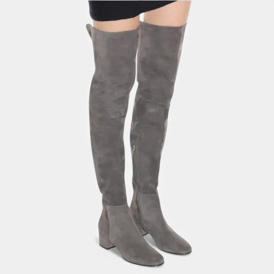 Women's Over-the-Knee Suede Block Heel Boots