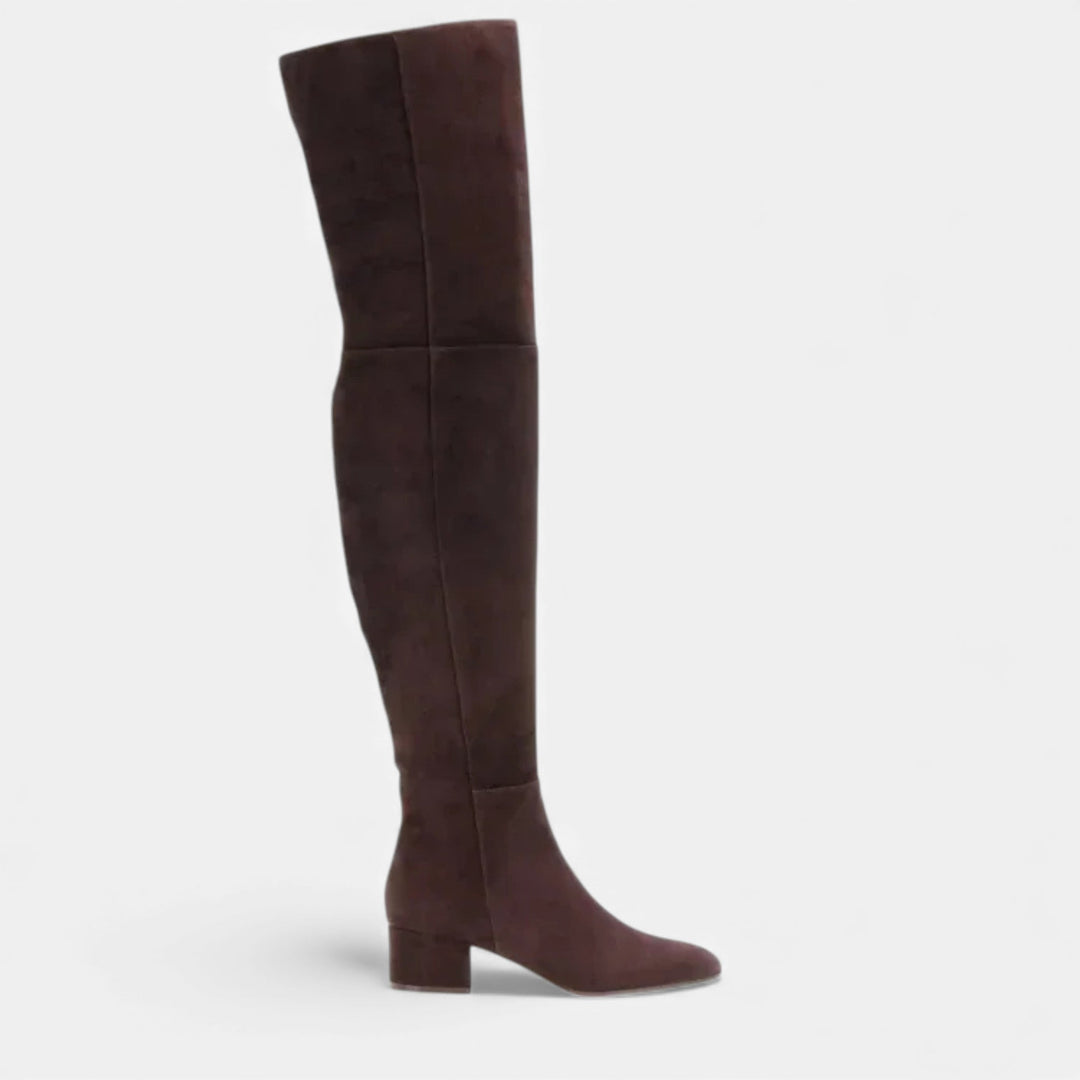 Women's Over-the-Knee Suede Block Heel Boots
