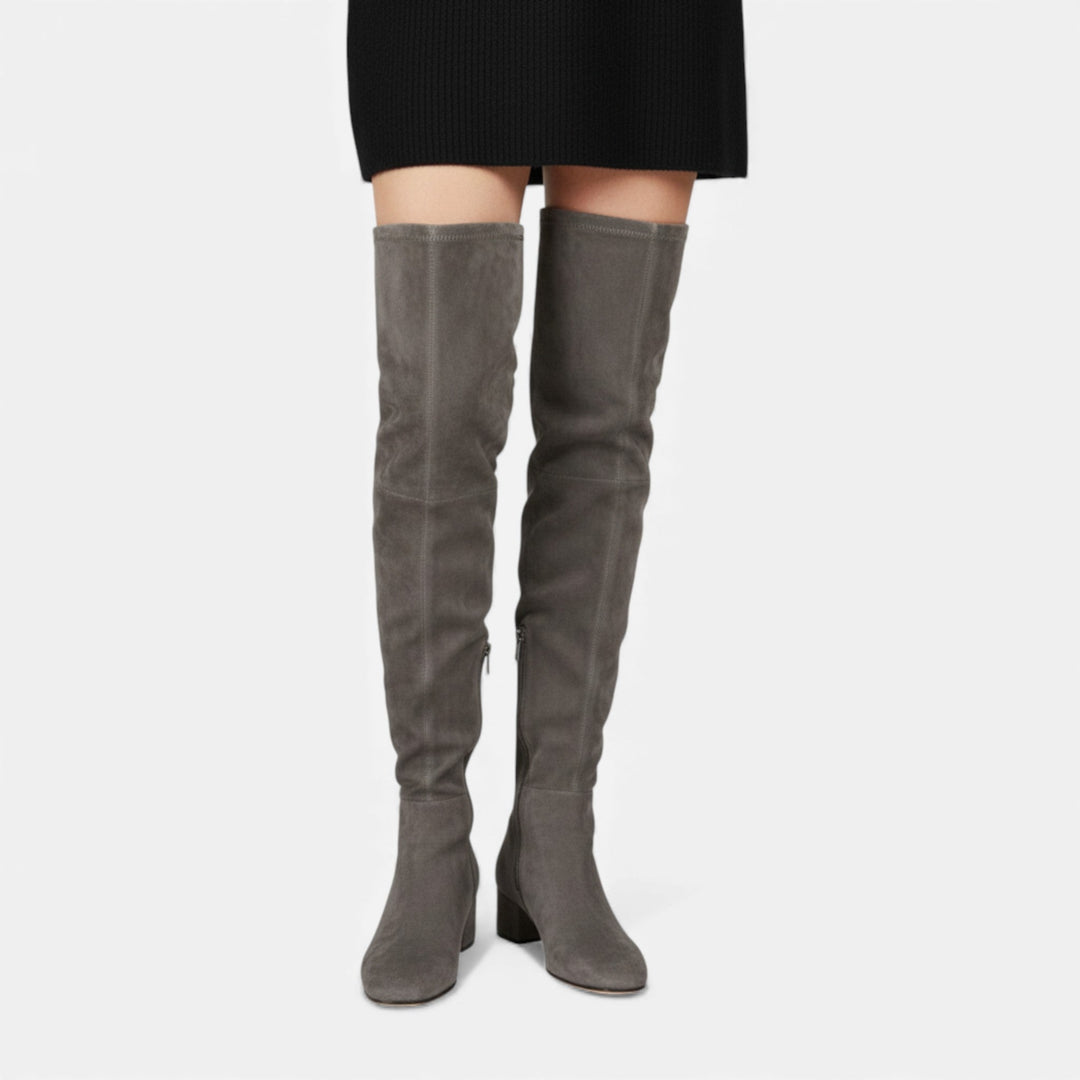 Women's Over-the-Knee Suede Block Heel Boots