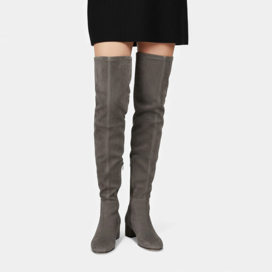 Women's Over-the-Knee Suede Block Heel Boots