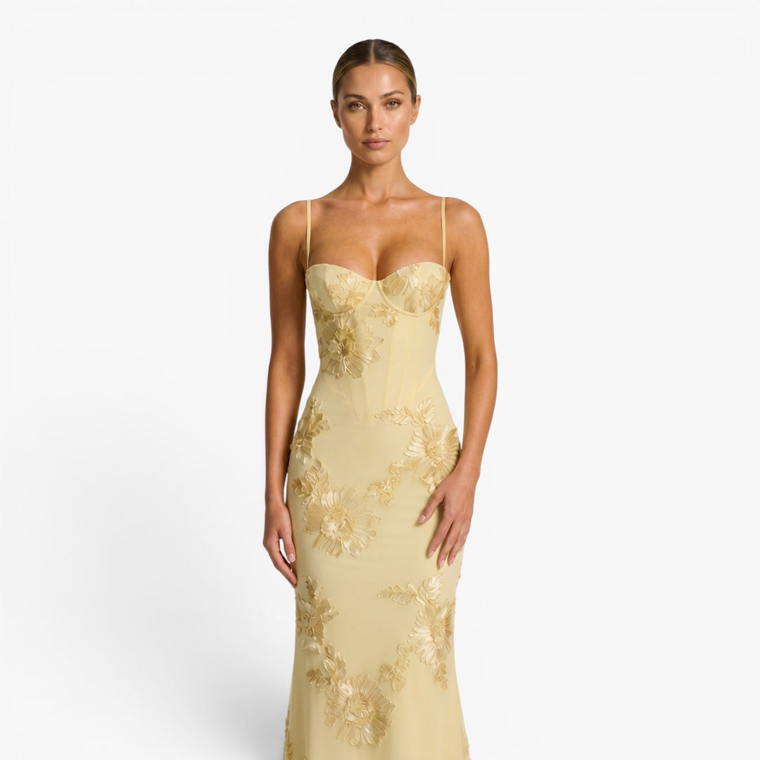 Women's Embroidered Mesh Mermaid Evening Gown